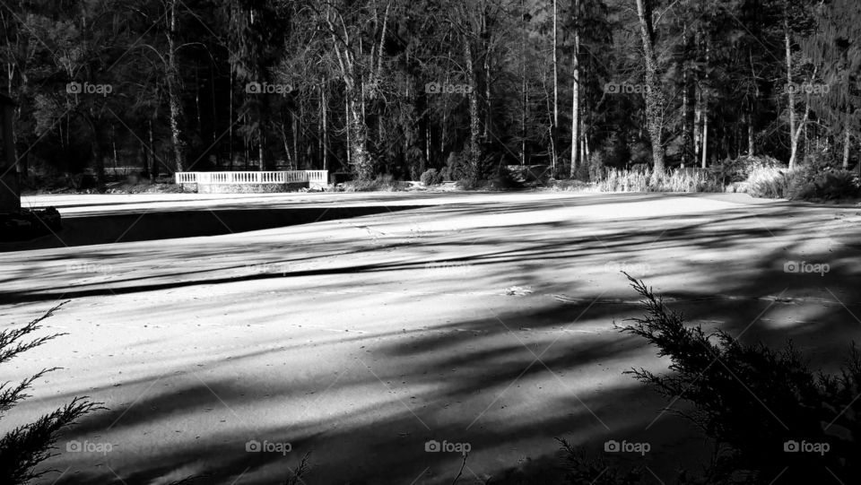 Shadows on the snow in the park. Slovakia