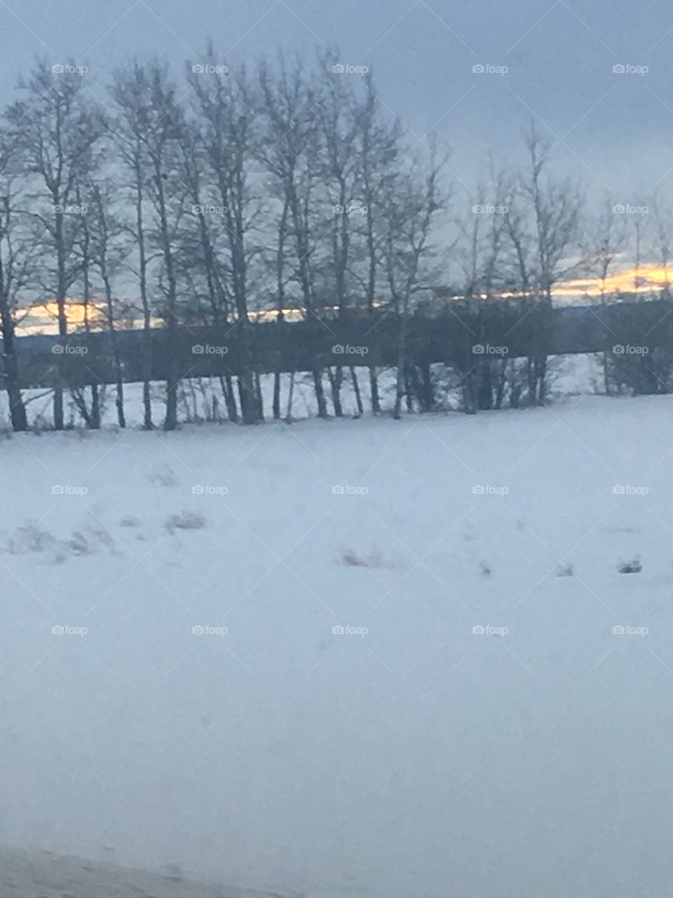 Sunset through the clouds and trees