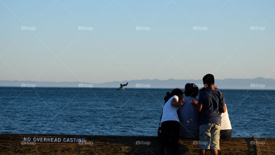 Family birdwatching on the coastline
