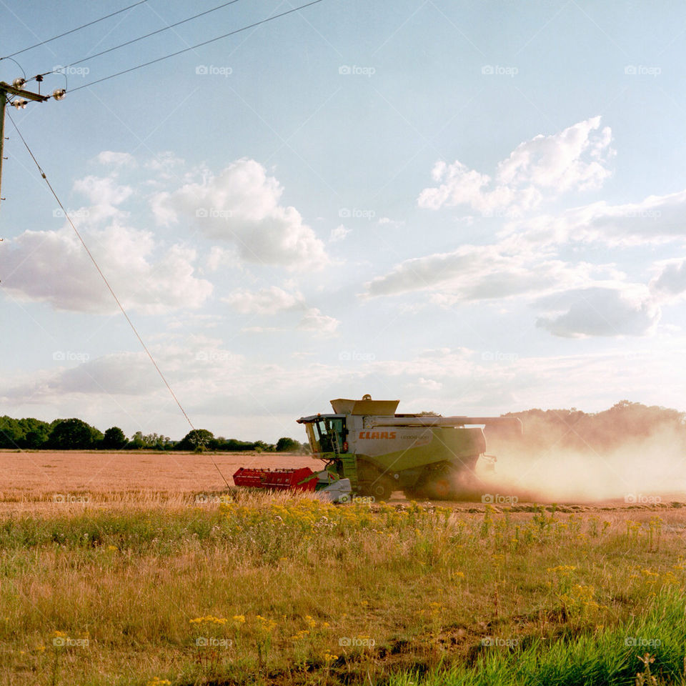 sky field blue summer by tobias_burkill