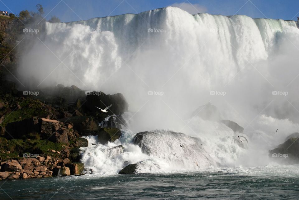 American Falls