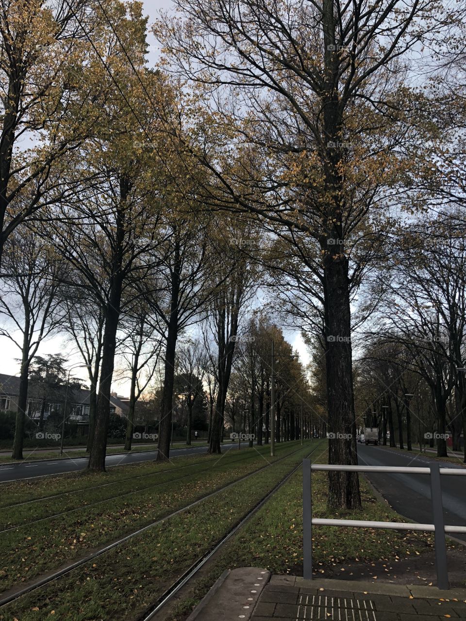 The Hague, The Netherlands 