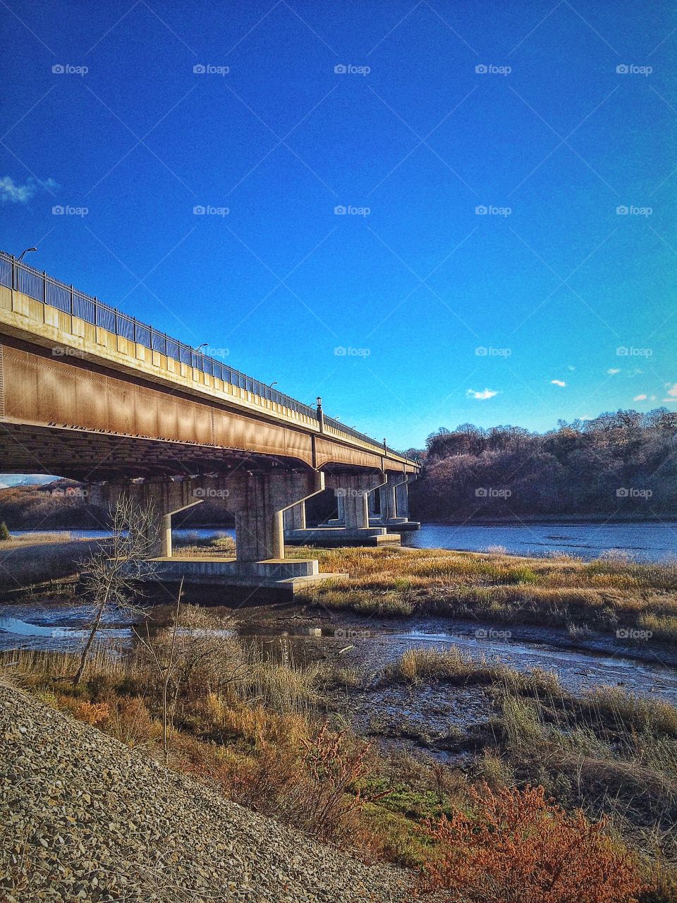 Housatonic Estuary Walk 