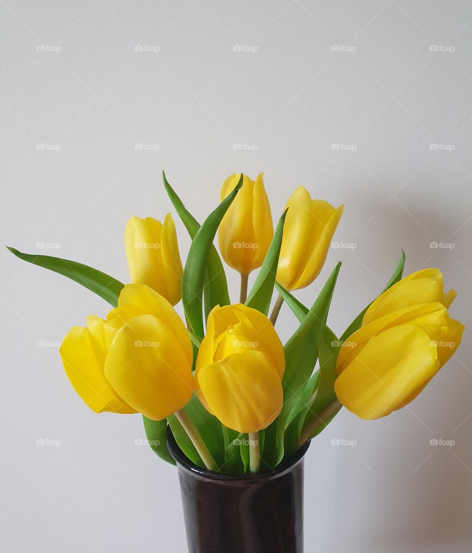 Amazing yellow tulips guarantee you'll have a good mood.