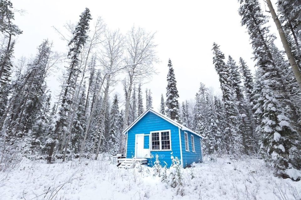 At first glance, the blue color appears to be unreal in the image