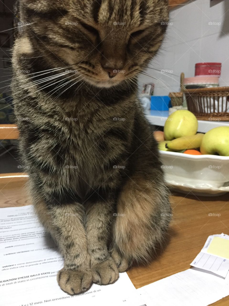 I’m looking on you 2.0