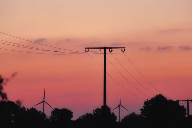 Sunset silhouettes