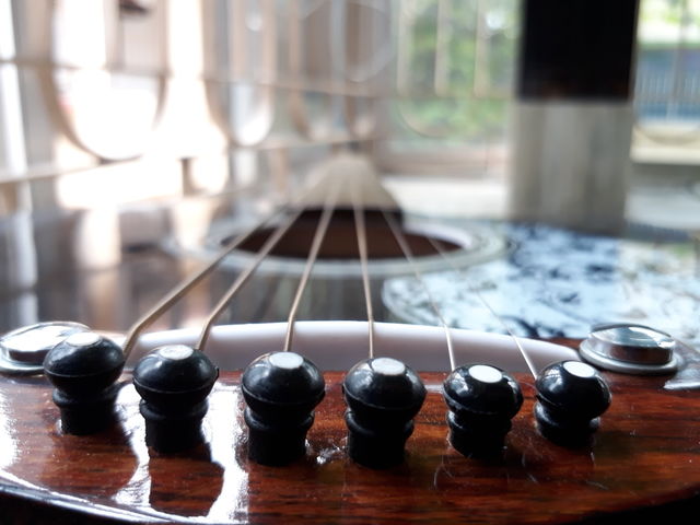 Acoustic guitar