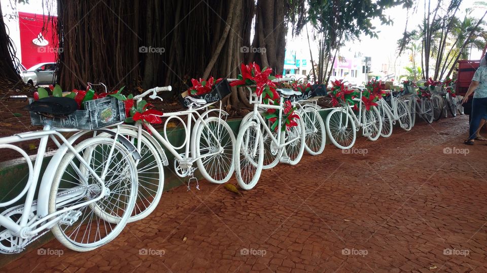 Dezenas ou centenas de bicicletas velhas recicladas, com tinta branca, enfeitando o centro da cidade e a praça central, no comemorativo fim de ano; Natal e Ano Novo.
