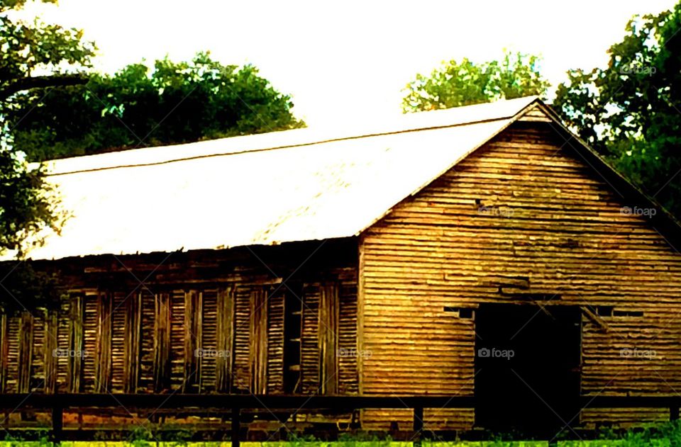 Barn yard 