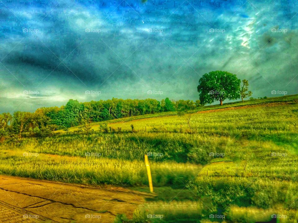 The good ole country 