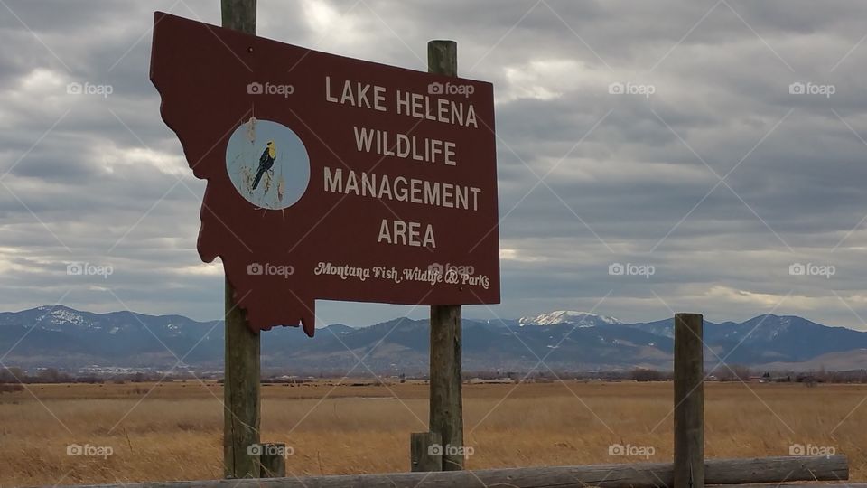 Wildlife Management Area in Montana