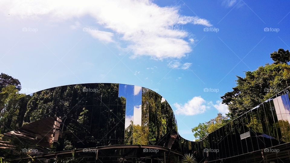 Cairns Botanical Gardens