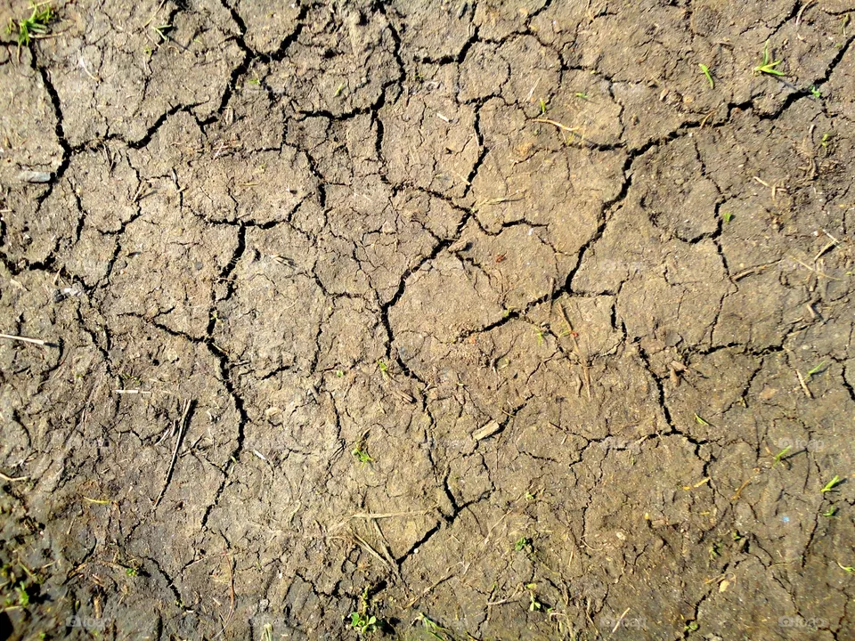 Drought 