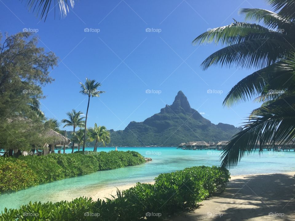 Bora Bora