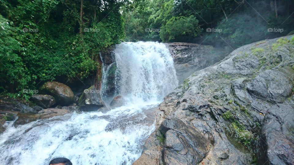 Milky white water fall from hill side green forest view 