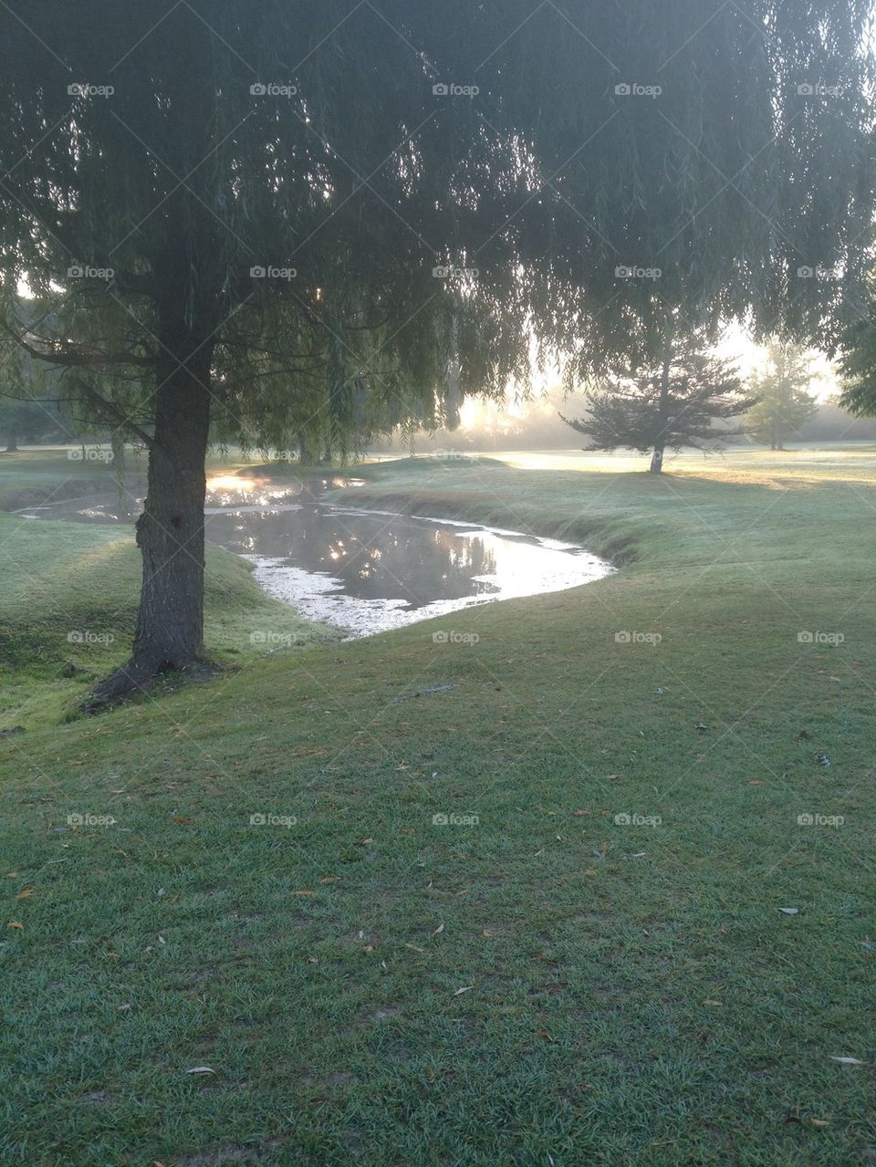 Golf at dawn