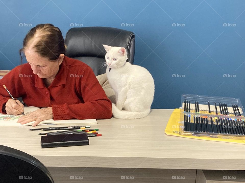 🇺🇸 Cat learning to draw?  It won't work…but grandma still wants to teach him. / 🇧🇷 Gato aprendendo a desenhar? Não vai dar certo…as mesmo assim a vovó quer ensiná-lo. 