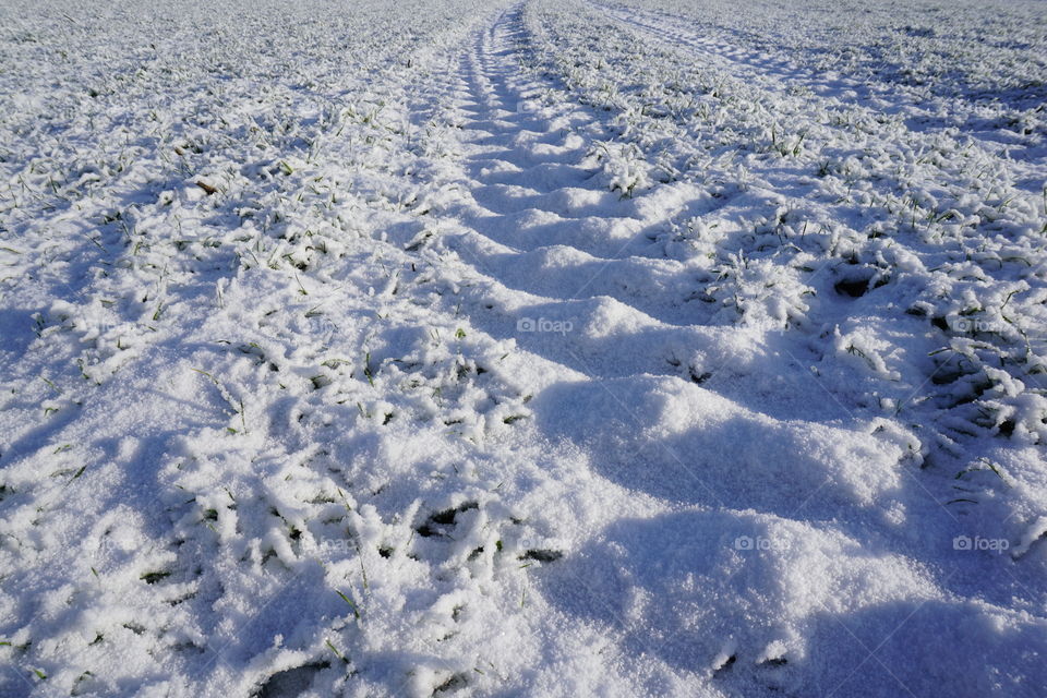 Snowy tractor tyre tracks