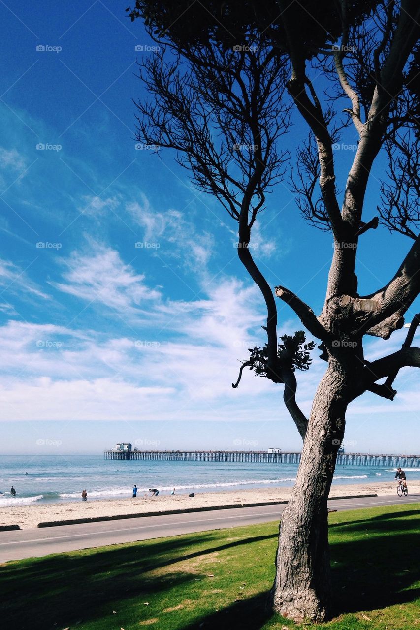 Scenic view of beach