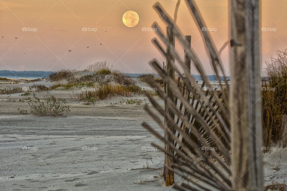 Moon setting over the beach