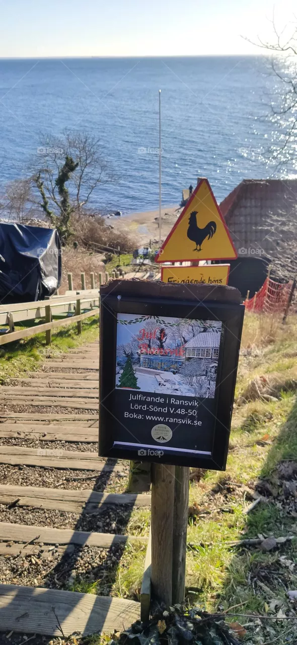 Nature rules