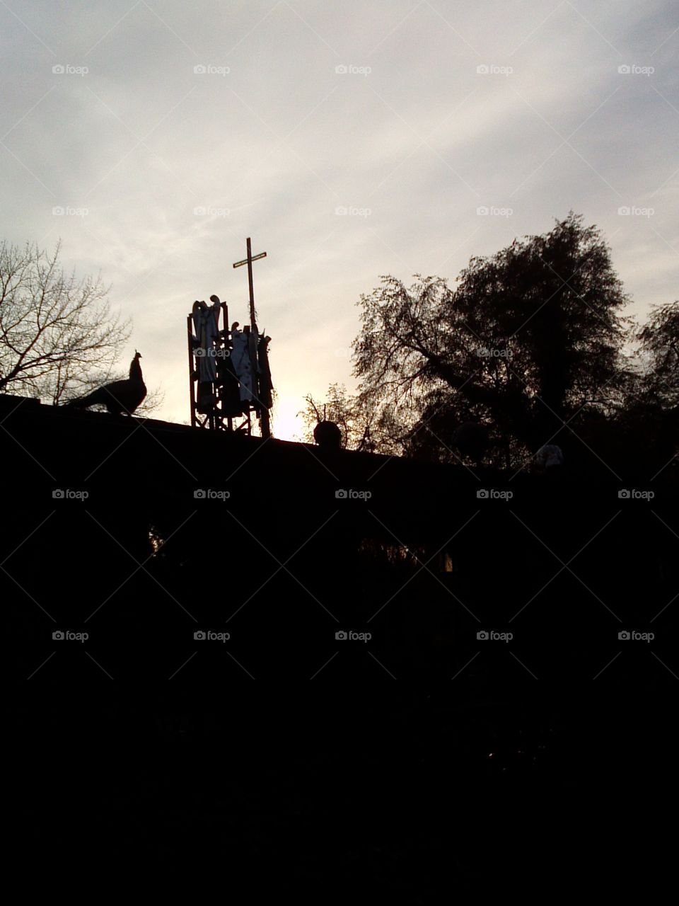 on the roof