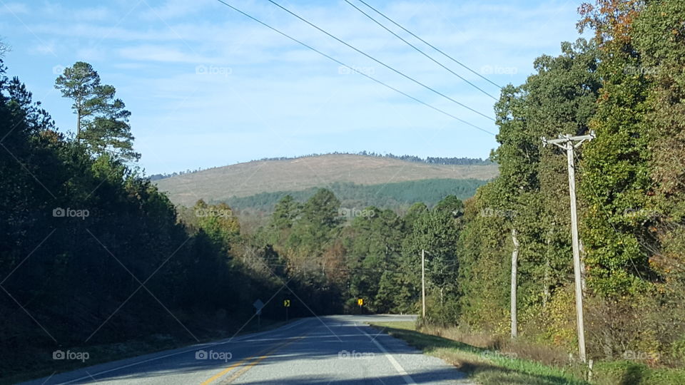 Arkansas Landscape 