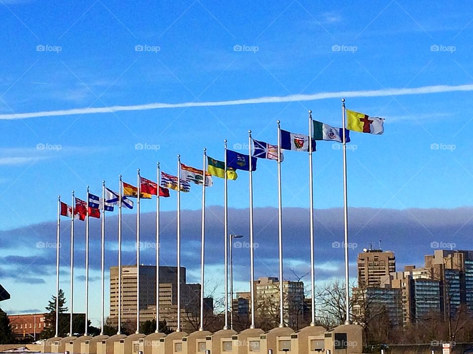  Canada Flag with it's ten Provinces and three Territories 