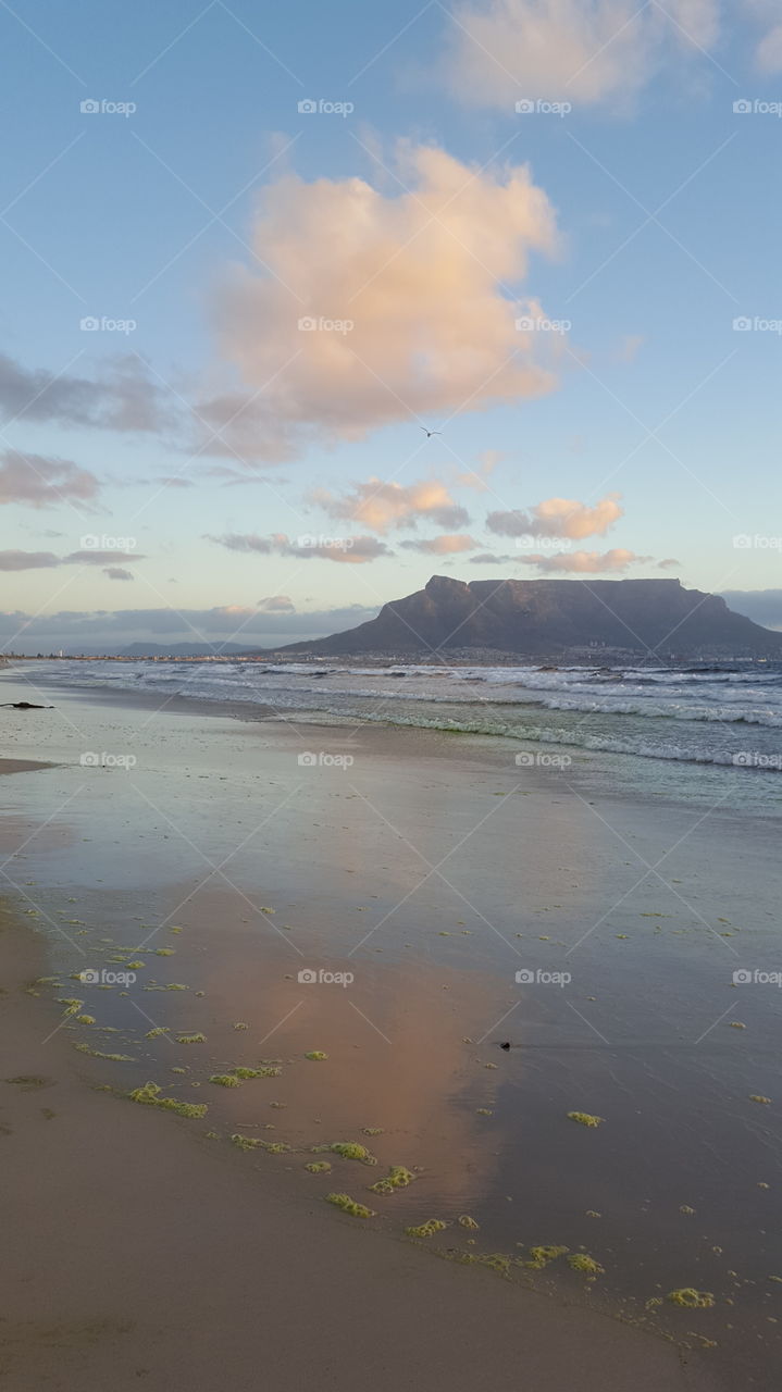 Pink Cloud Shadows in the Sand
