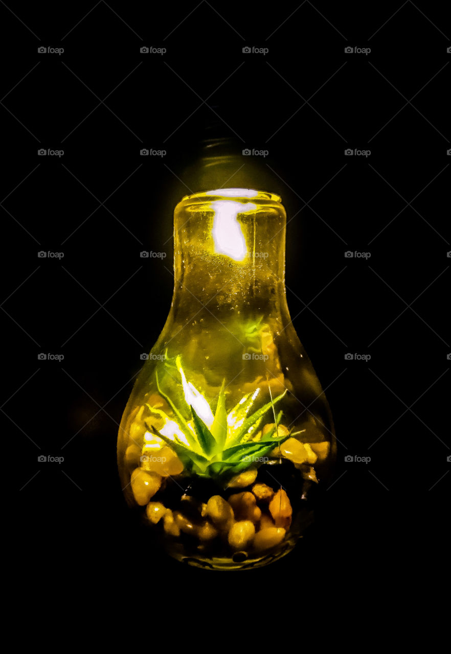 Flower in the bulb