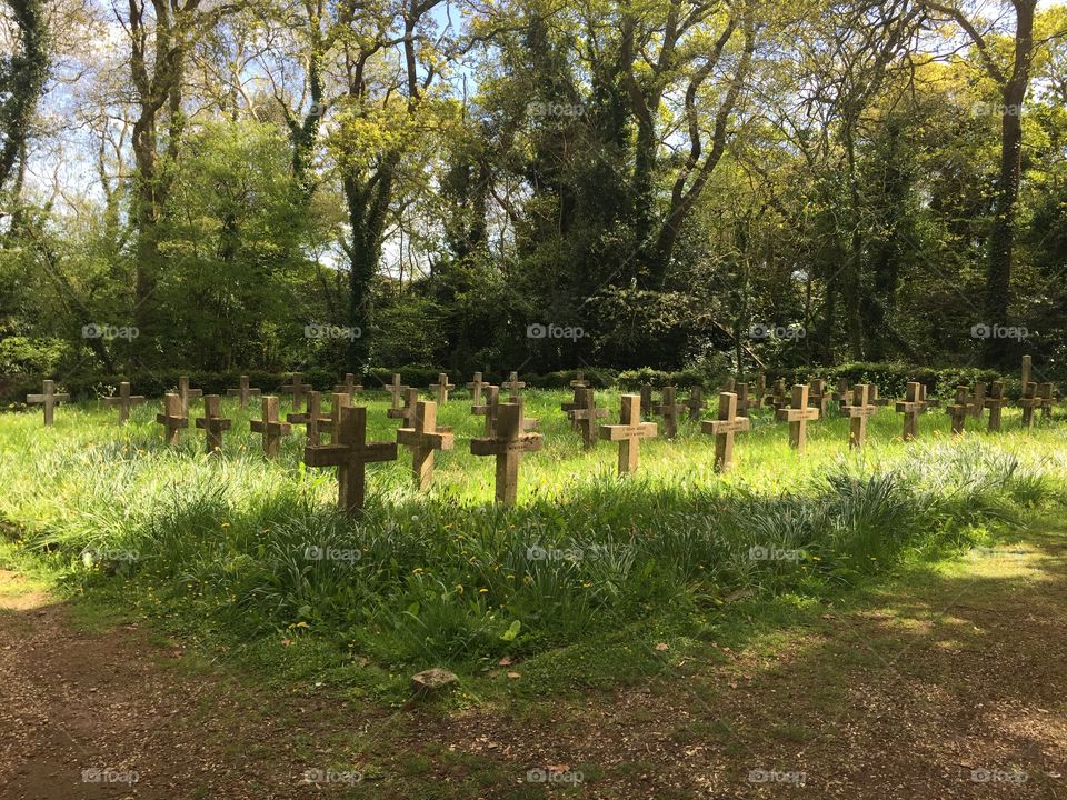 Abbey Graveyard 