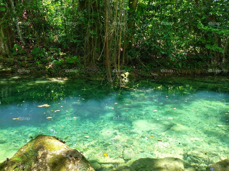 River deep in the woods