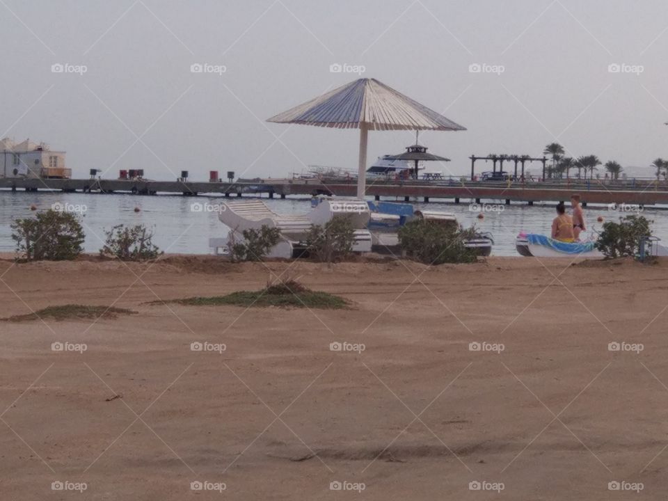 Beach, Seashore, Water, Sand, Daylight