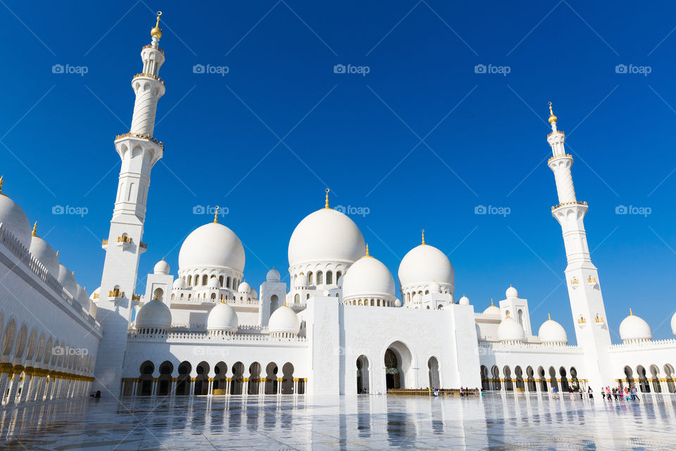 Sheikh Zayed Mosque