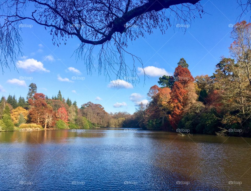 Panoramic view of a big lake surrounded by different coloured trees with clear blue sky