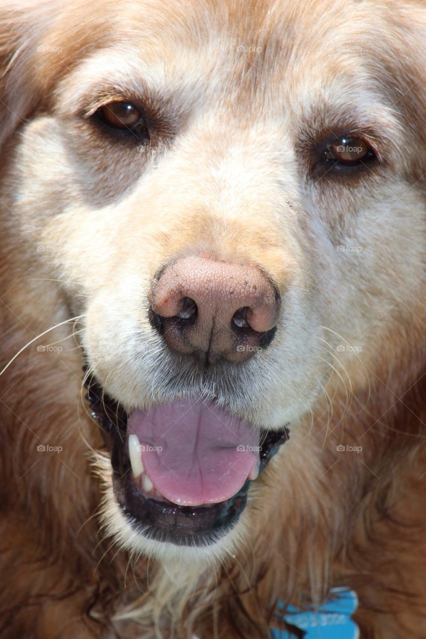 Marley Up Close