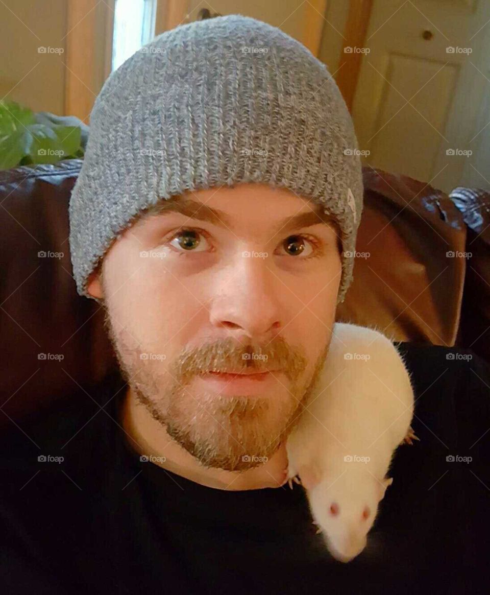 pet rat
