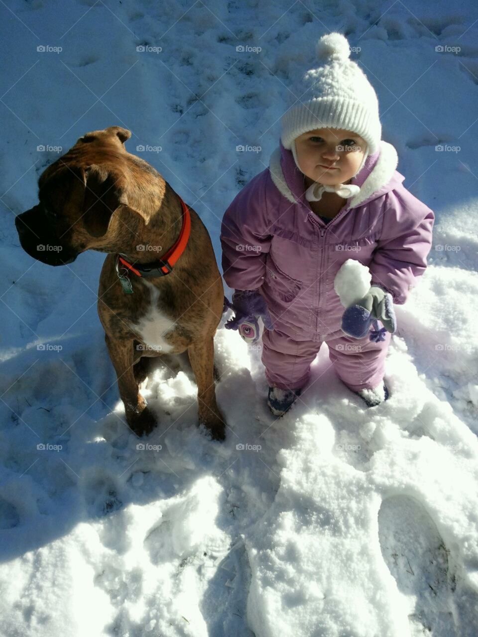 Dog and toddler in the snow 