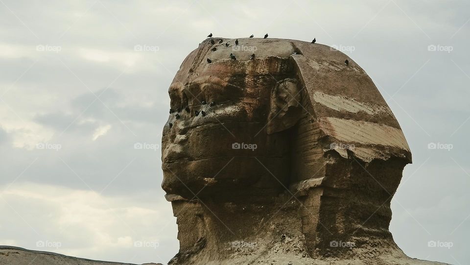 great sphinx in giza