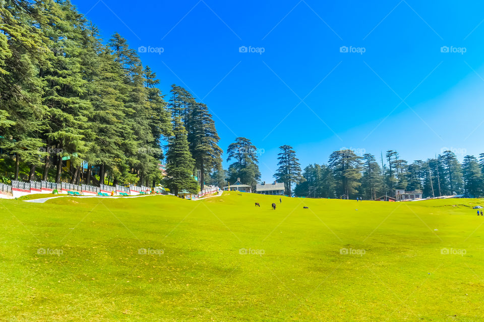A beautiful golf course on a hill station with road blue sky trees clouds. Captured in sunny day hill station India taken landscape style useful for background wallpaper screen saver Vacation Concept