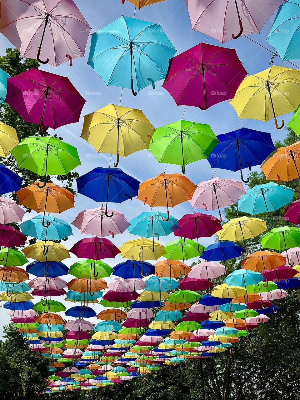 Colorful Umbrellas Canopy