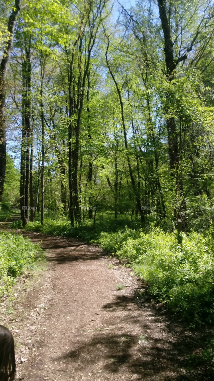 nature trail south west Michigan