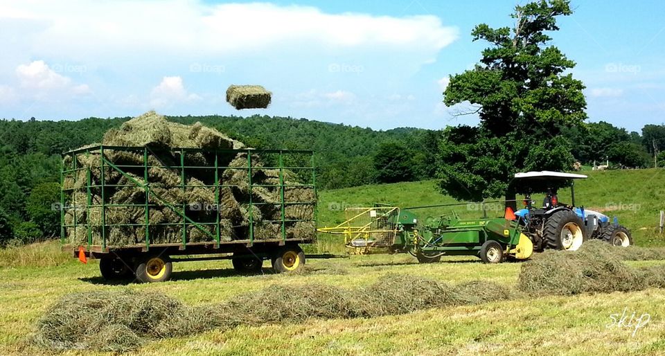 baling hay