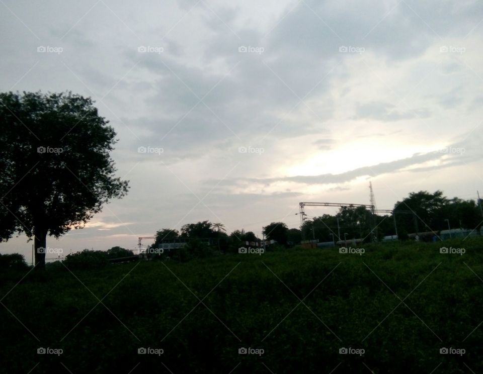 A memorable evening photo/golden evening photo/evening with tree photo/tree and evening photo/A memorable photo/dark with light evening photo/one tree in evening photo