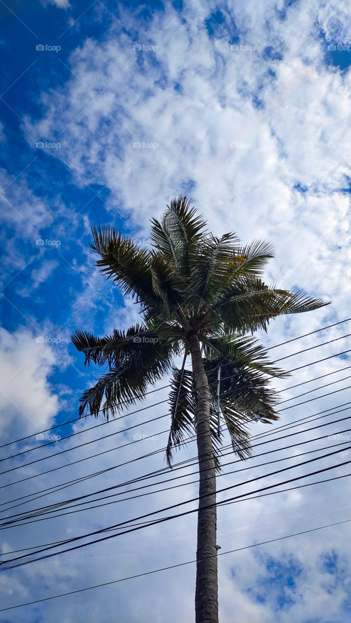 Dayout in a cloudy day