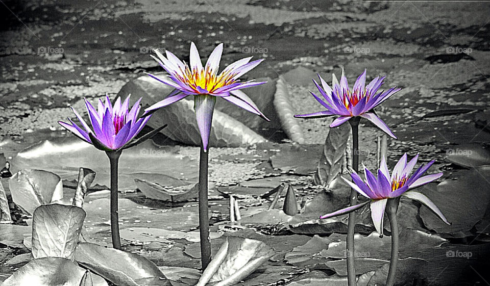 A touch of colour...