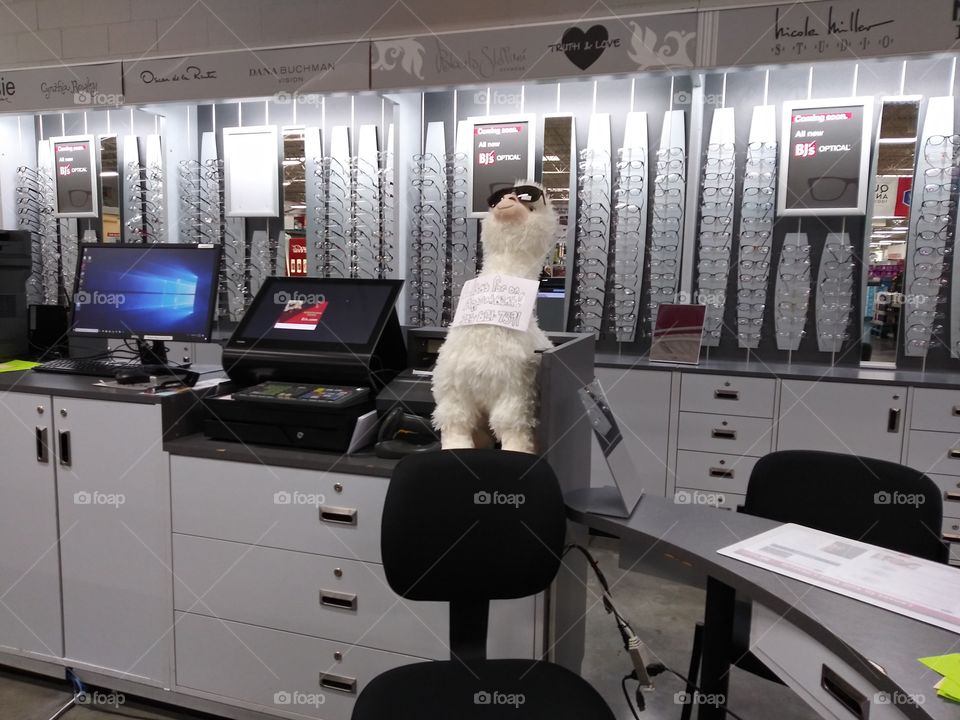 Un anuncio encantador.