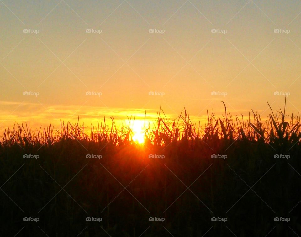 Sunset, Landscape, Dawn, Silhouette, Sun