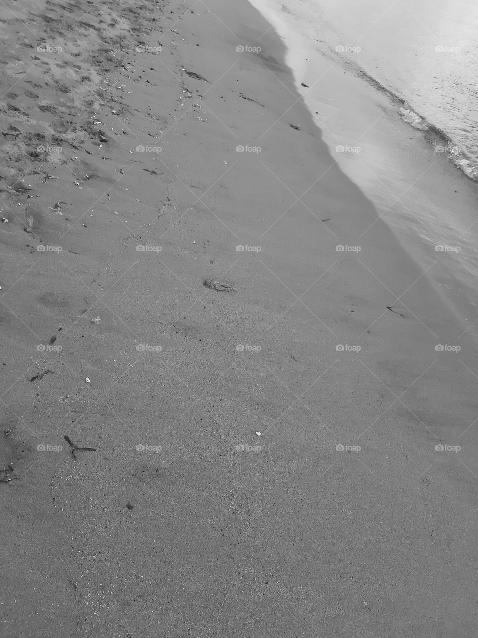 monochrome style of abstract object taken on the beach